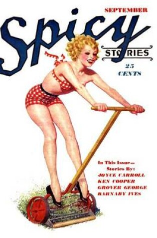 Cover of Spicy Stories