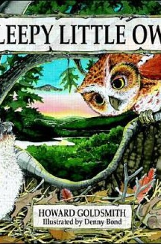 Cover of Sleepy Little Owl