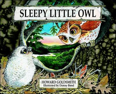 Book cover for Sleepy Little Owl