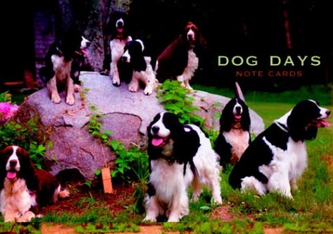 Book cover for Dog Days Large Note Cards