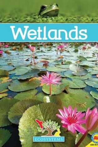 Cover of Wetlands