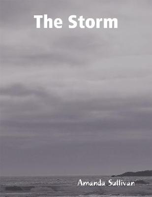 Book cover for The Storm