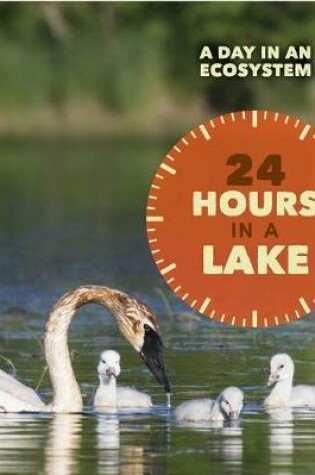 Cover of 24 Hours in a Lake