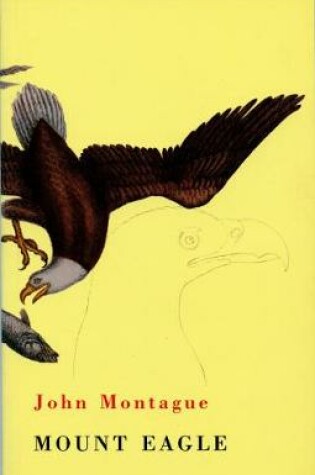 Cover of Mount Eagle