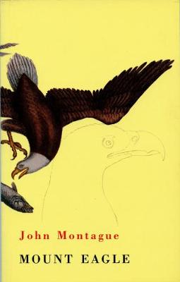 Book cover for Mount Eagle