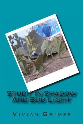 Book cover for A Study in Shadow and Bud Light