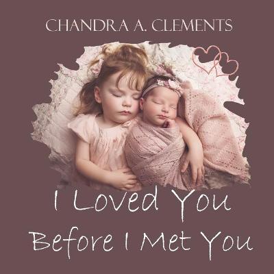 Book cover for I Loved You Before I Met You
