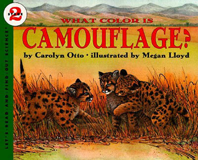 Book cover for What Color is Camouflage?