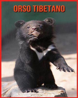 Book cover for Orso Tibetano