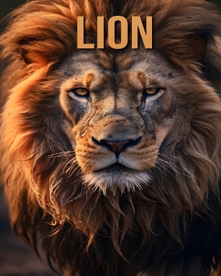 Book cover for Lion