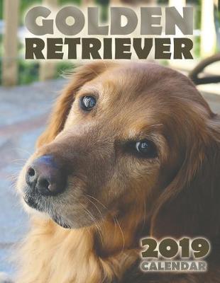 Book cover for Golden Retriever 2019 Calendar