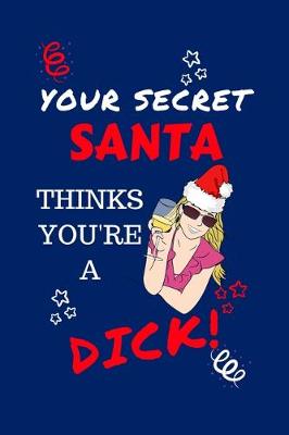 Book cover for Your Secret Santa Thinks You're A Dick