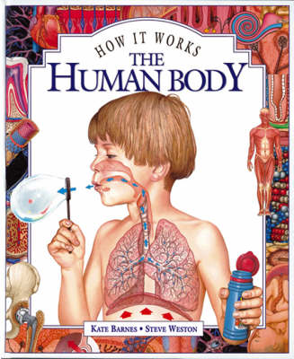 Cover of The Human Body