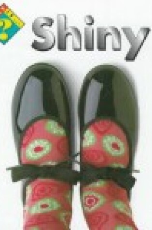 Cover of What Is Shiny?