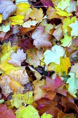 Book cover for Colorful Autumn Leaves