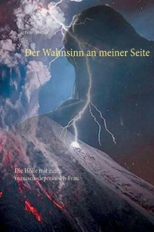 Cover of Der Wahnsinn an meiner Seite