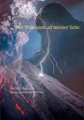 Book cover for Der Wahnsinn an meiner Seite