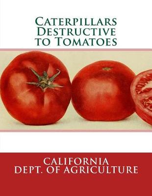 Book cover for Caterpillars Destructive to Tomatoes