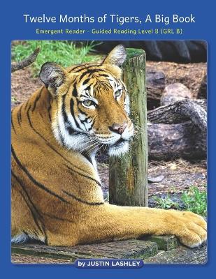 Book cover for Twelve Months of Tigers, A Big Book