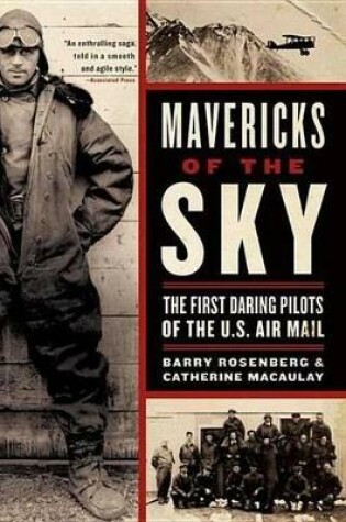 Cover of Mavericks of the Sky