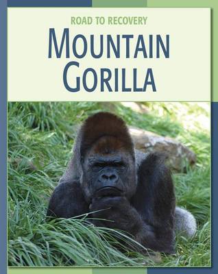 Book cover for Mountain Gorilla