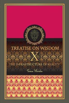 Book cover for The Infrastructure of Reality