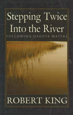 Book cover for Stepping Twice into the River