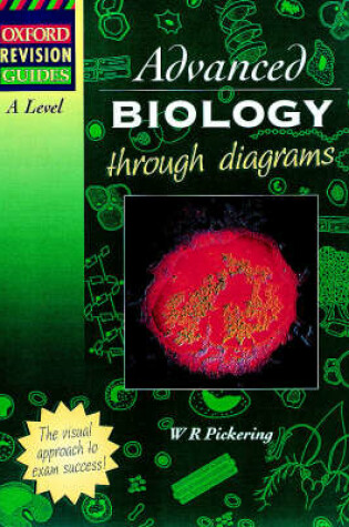 Cover of A-level Biology