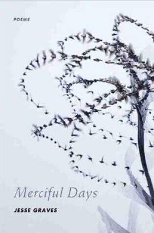 Cover of Merciful Days