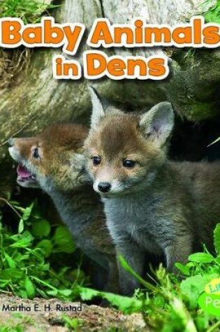 Cover of Baby Animals in Dens (Baby Animals and Their Homes)