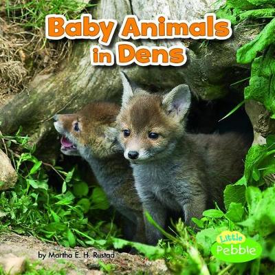 Book cover for Baby Animals in Dens (Baby Animals and Their Homes)