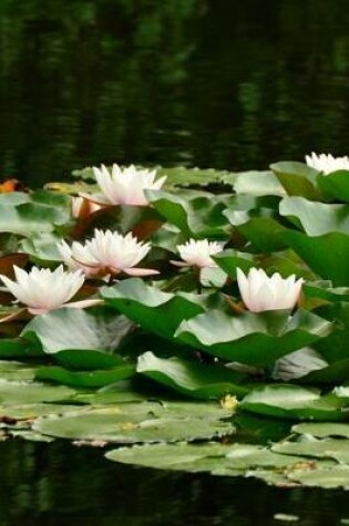 Cover of Beautiful Water Lilies on the Pond in Spring Journal