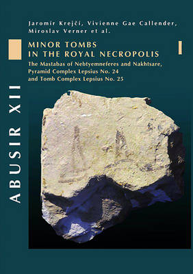 Book cover for Abusir XII