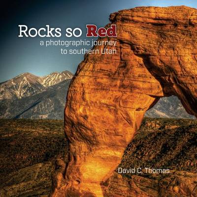 Book cover for Rocks So Red