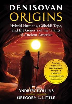 Book cover for Denisovan Origins