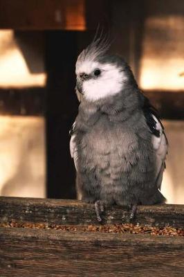 Book cover for Cockatiel Notebook