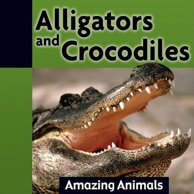 Cover of Alligators and Crocodiles