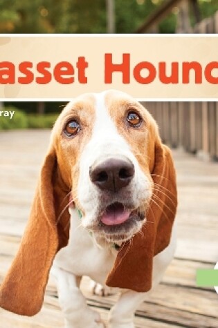 Cover of Basset Hounds