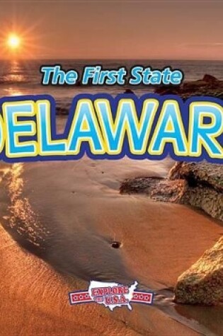 Cover of Delaware with Code