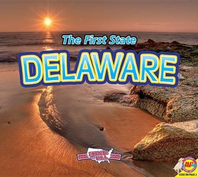 Cover of Delaware with Code