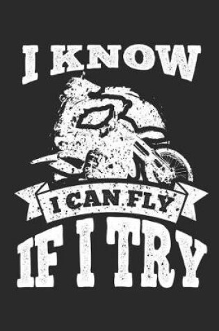Cover of I Know I Can Fly If I Try