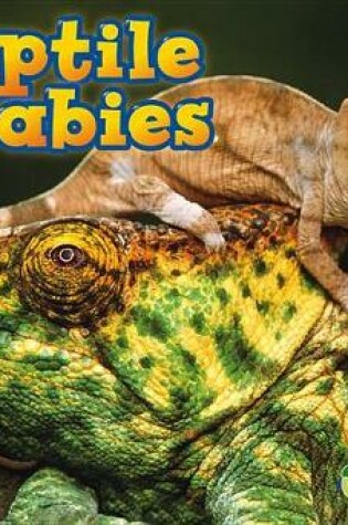Cover of Reptile Babies (Animal Babies)
