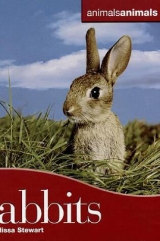 Cover of Rabbits