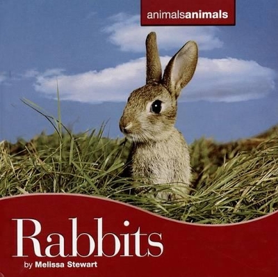 Cover of Rabbits