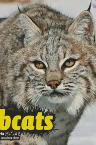 Cover of Bobcats