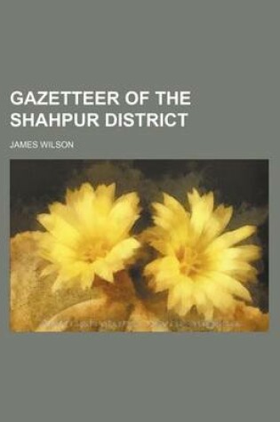 Cover of Gazetteer of the Shahpur District