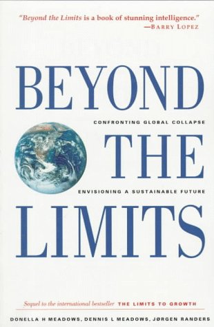 Book cover for Beyond the Limits