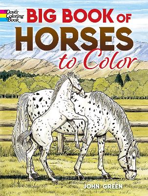 Book cover for Big Book of Horses to Color
