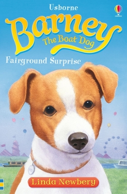 Book cover for Fairground Surprise