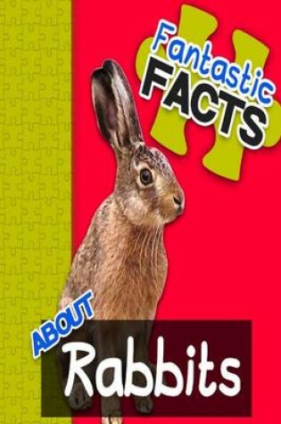 Cover of Fantastic Facts about Rabbits